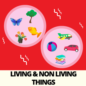 Living Things & Non-Living Things
